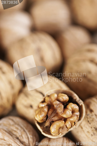 Image of Walnuts