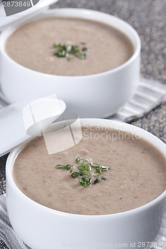 Image of Cream soup