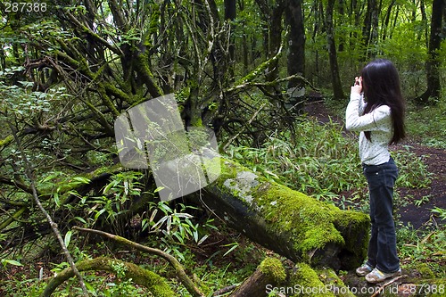 Image of Girl Taking Photo of Tree