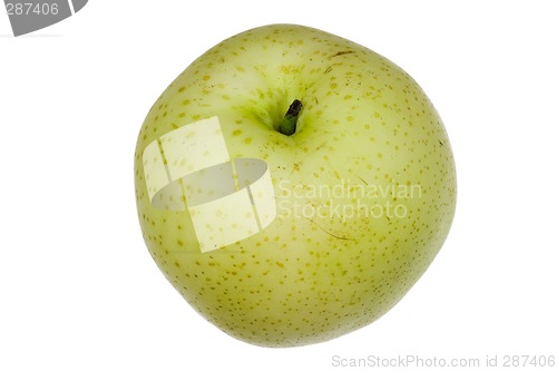 Image of Chinese golden pear

