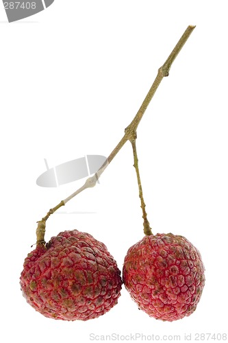 Image of Two lychees


