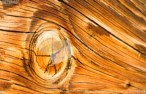 Image of Lumber Gnarled Knotty Wood Lumber Plank Macro Burnt Nail