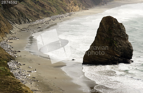 Image of Rock Bluff Oregon State Scenic Landscape Pacific Ocean Coastal B