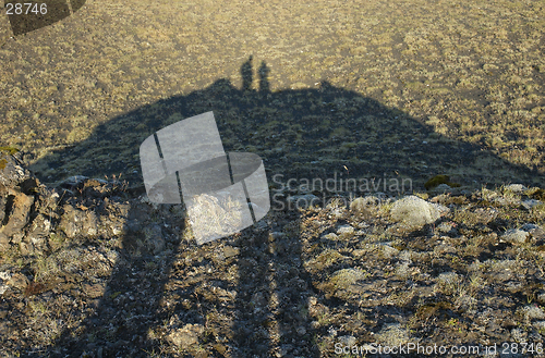 Image of Shadows