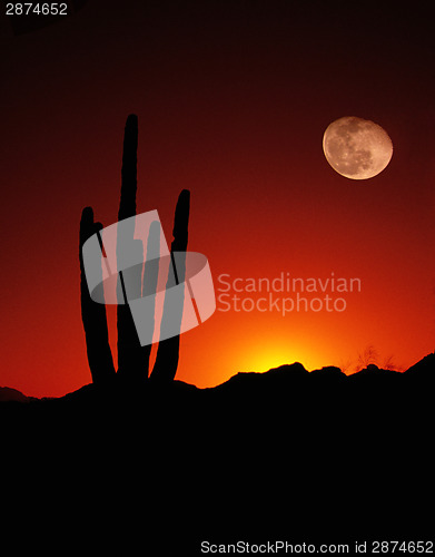 Image of Vertical Desert Saguaro Cactus Full Moon Sunset American Southwe