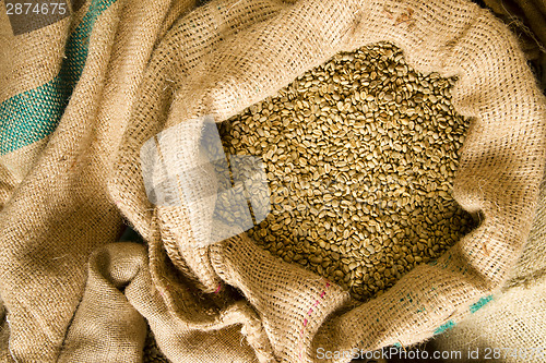 Image of Raw Coffee Seeds Bulk Burlap Bag Agriculture Bean Produce