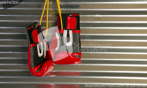 Image of Red Boxing Gloves Hanging on a Hook