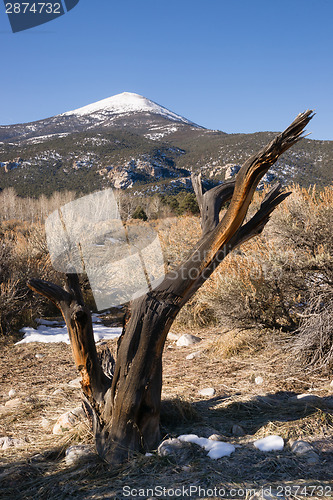 Image of High Mountain Peak Great Basin Region Nevada Landscape