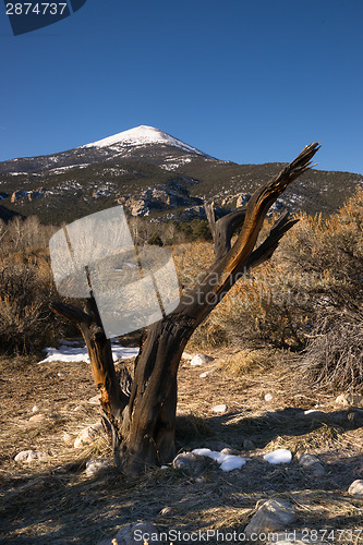 Image of High Mountain Peak Great Basin Region Nevada Landscape