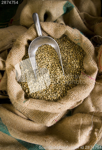 Image of Raw Coffee Beans Seeds in Bulk Burlap Sack Production Warehouse