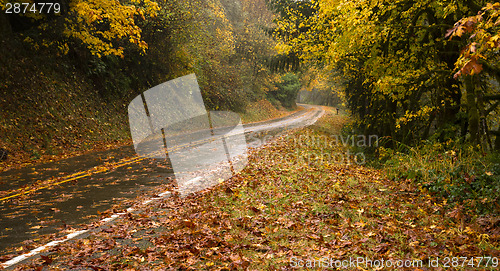 Image of Wet Rainy Autumn Day Leaves Fall Two Lane Highway Travel