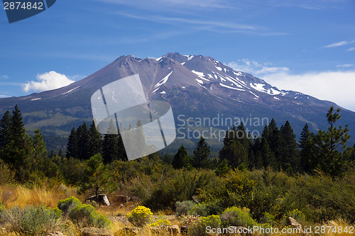 Image of Hot Summer Day Weed California Base Mount Shasta Mountain Cascad