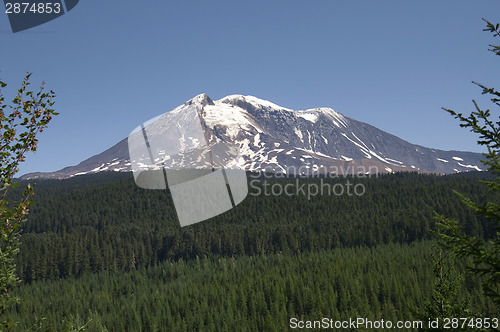 Image of Mount Adams Cascade Range Gifford Pinchot National Forest USA