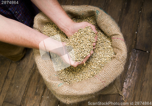 Image of Coffee Seeds