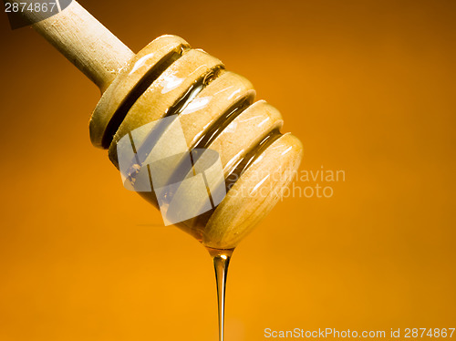 Image of Honey Dripper Sweet Food Spreader Bee Sweet Food