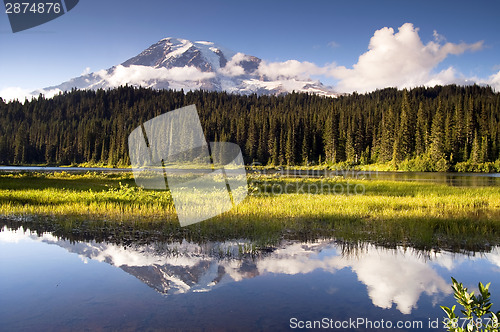 Image of Saturated Color at Reflection Lake Mt. Rainier National Park