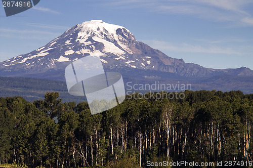 Image of Forest Landscape Adjacent Ranch Countryside Mount Adams Cascade 