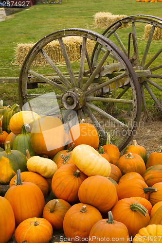 Image of Farm Scene Old Wagon Vegetable Pile Autumn Pumpkins October