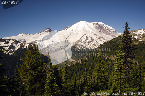 Image of Trail High on Burroughs Mountain Cascade Range Mt. Rainier Backg