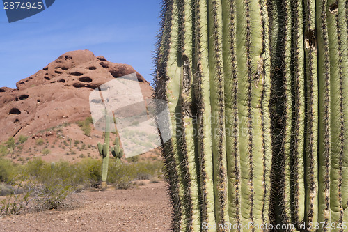 Image of Arizona Desert Landscape Red Rocks with Cactus