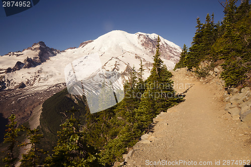 Image of Trail High on Burroughs Mountain Cascade Range Mt. Rainier Backg