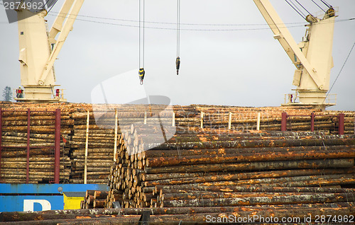 Image of Loading Logs