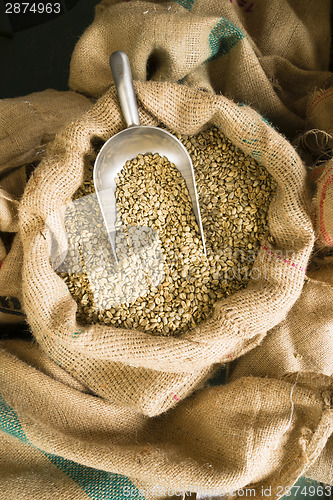 Image of Raw Coffee Seeds Bulk Scoop Burlap Bag Agriculture Bean