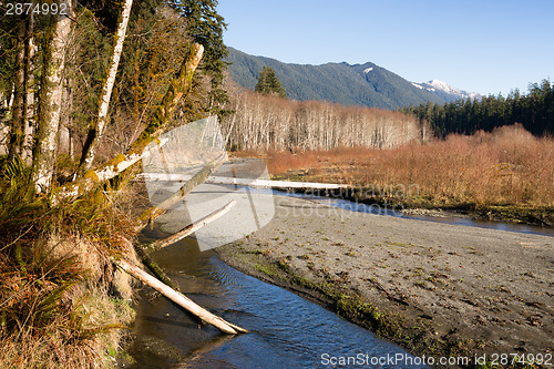 Image of Winter Along  Mountain Stream Hoh River Banks Olympic Mountains