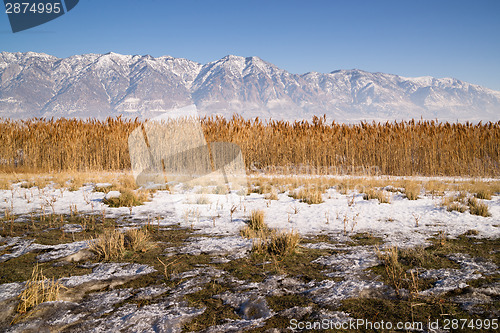 Image of Snow Covered Mountains Behind Lakeside Highway PLant Growth Utah