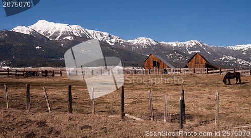 Image of Old Horse Barn Endures Mountain Winter Wallowa Whitman National 