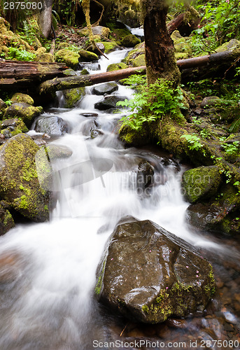 Image of Waterfall onTrail Punch Bowl Falls Columbia River Gorge