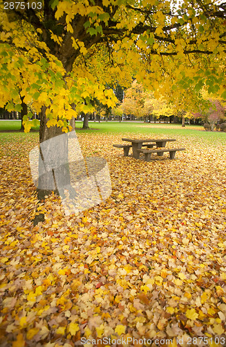 Image of Rest Area Picnic Table Autumn Nature Season Leaves Falling 