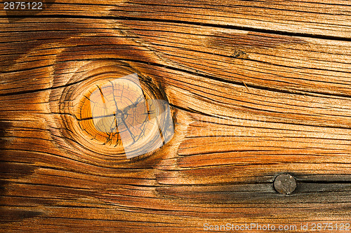 Image of Lumber Gnarl Wood Knot Lumber Plank Macro One Burnt Nail