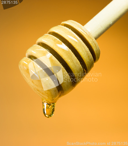 Image of Honey Dripper Sweet Food Spreader Bee Sweet Food