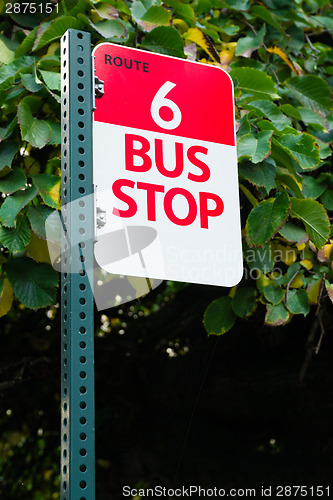 Image of Bus Stop Route 6 Public Transit Downtown City Transportation