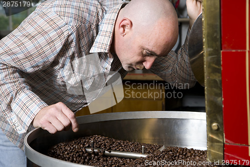 Image of Master Roaster