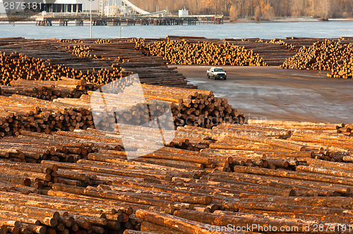 Image of Large Timber Wood Log Lumber Processing Plant Riverside Columbia