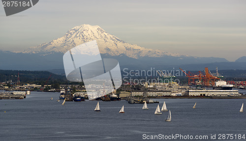 Image of Sailboat Regatta Commencement Bay Puget Sound Mt Rainier Tacoma 