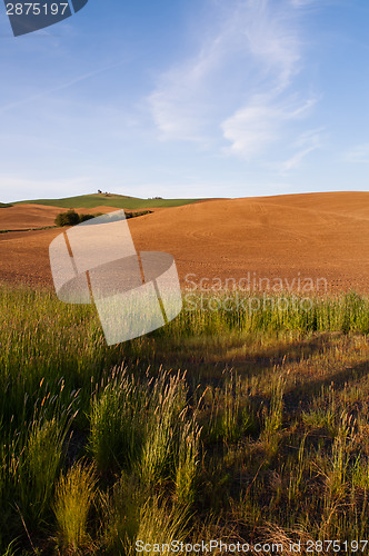 Image of Farm Industry Plowed Field Spring Planting Palouse Country Ranch