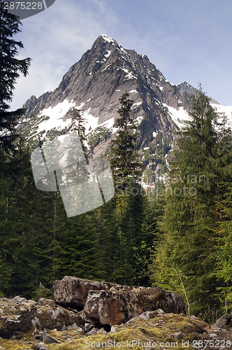 Image of Rugged Jagged Peak North Cascade Mountain Range Vertical Composi