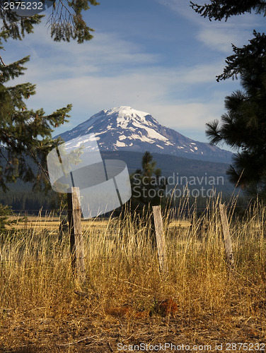 Image of Grassland Fence Countryside Mount Adams Mountain Farmland Landsc