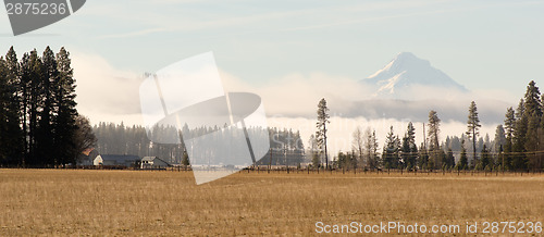 Image of Mount Hood Washington Side Ranch Land Farm Grasslands