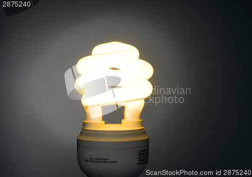 Image of Warm Color Low Wattage Self Ballasted Fluorescent Light Bulb