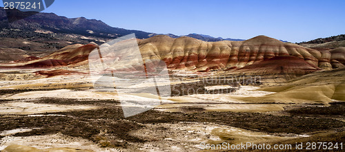 Image of Panoramic Horizontal Composition Painted Desert John Day Fossil 