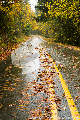 Image of Wet Rainy Autumn Day Leaves Fall Two Lane Highway Travel