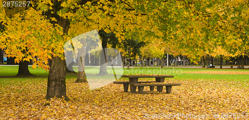 Image of Rest Area Picnic Table Autumn Nature Season Leaves Falling