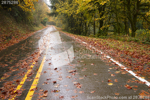 Image of Wet Rainy Autumn Day Leaves Fall Two Lane Highway Travel