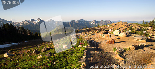 Image of Paradise Mount Rainier Adams Mountain Tatoosh Range Washington S