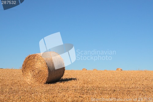 Image of Hay Bale