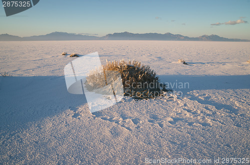 Image of Bonneville Salt Flats Tooele County Utah Pleistocene Lake Sunset